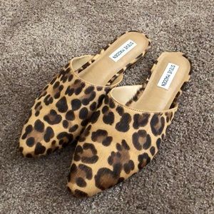 Steve Madden leopard mule